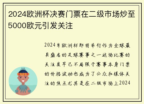 2024欧洲杯决赛门票在二级市场炒至5000欧元引发关注